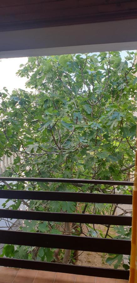 Apartament Tonci